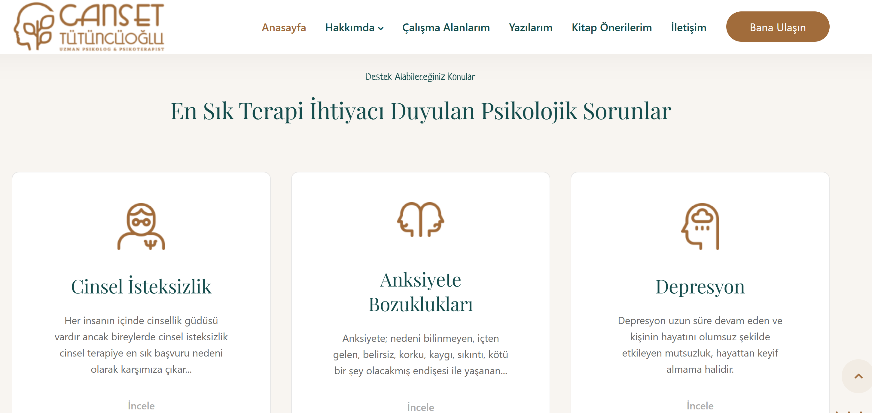 canset-tutuncuoglu-slide-3